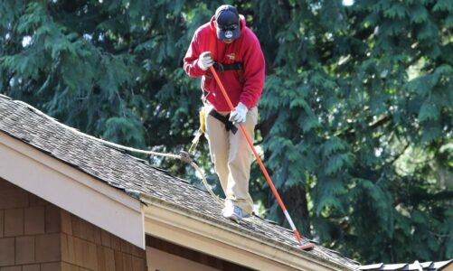 Roof Cleaning: Everything You Need to Know